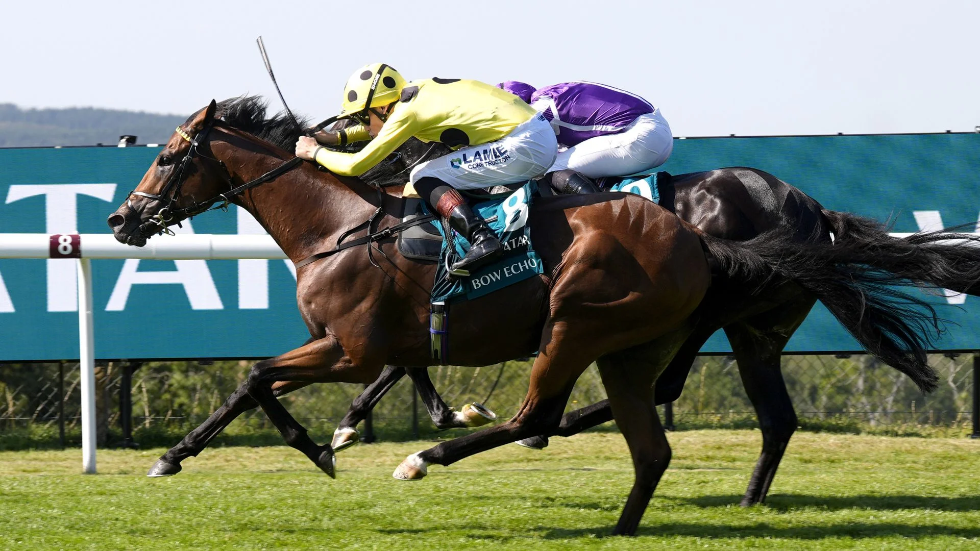 Bow Echo roars home late to seal Sussex Stakes success